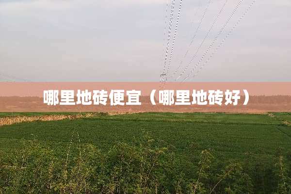 哪里地砖便宜（哪里地砖好）