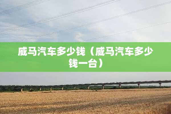 威马汽车多少钱（威马汽车多少钱一台）