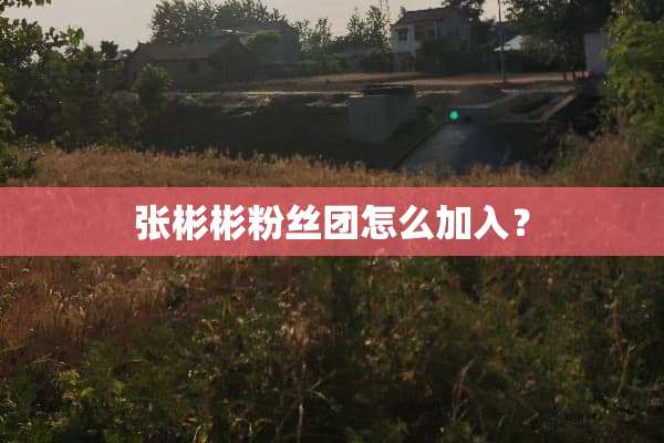张彬彬粉丝团怎么加入？