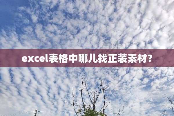 excel表格中哪儿找正装素材？