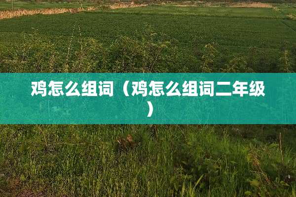 鸡怎么组词（鸡怎么组词二年级）