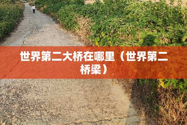 世界第二大桥在哪里（世界第二桥梁）