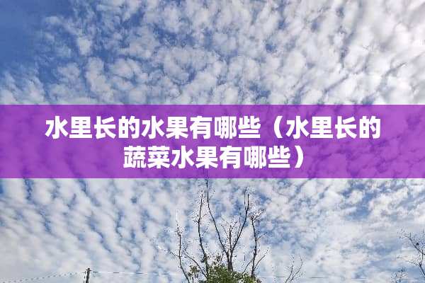 水里长的水果有哪些（水里长的蔬菜水果有哪些）