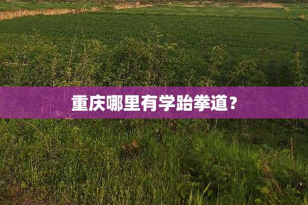重庆哪里有学跆拳道？