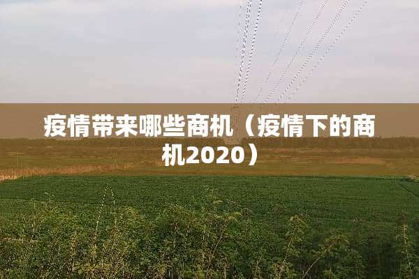疫情带来哪些商机（疫情下的商机2020）