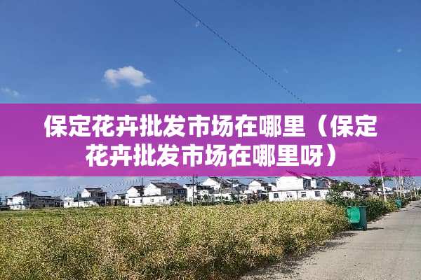 保定花卉批发市场在哪里（保定花卉批发市场在哪里呀）
