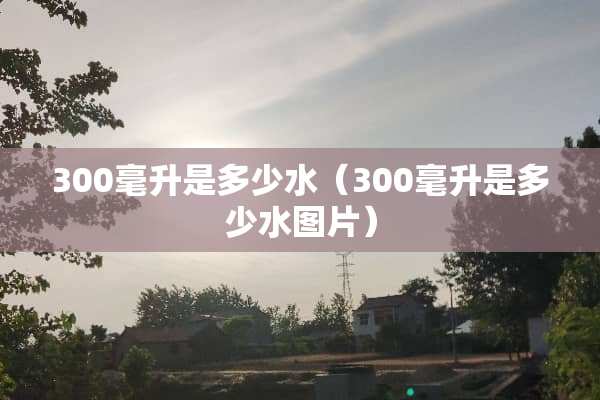 300毫升是多少水（300毫升是多少水图片）