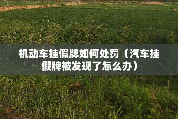 机动车挂假牌如何处罚（汽车挂假牌被发现了怎么办）