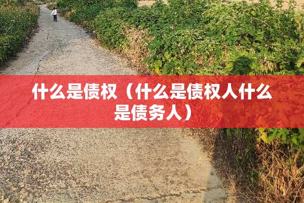 什么是债权（什么是债权人什么是债务人）