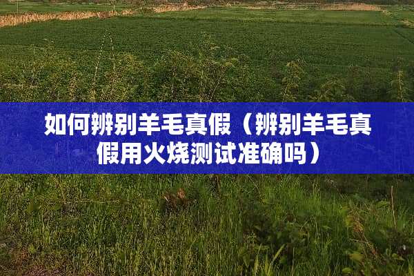 如何辨别羊毛真假（辨别羊毛真假用火烧测试准确吗）