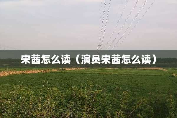 宋茜怎么读（演员宋茜怎么读）