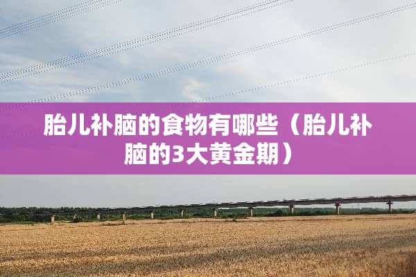 胎儿补脑的食物有哪些（胎儿补脑的3大黄金期）