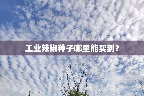 工业辣椒种子哪里能买到？