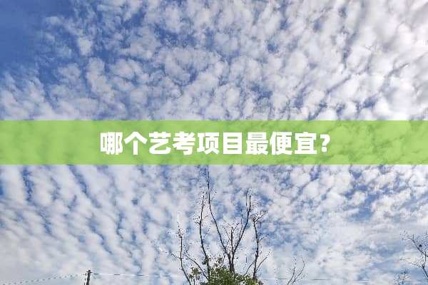 哪个艺考项目最便宜？