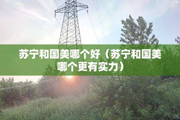 苏宁和国美哪个好（苏宁和国美哪个更有实力）