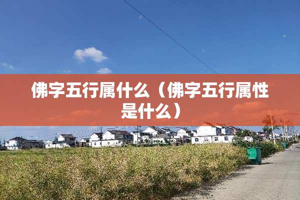 佛字五行属什么（佛字五行属性是什么）