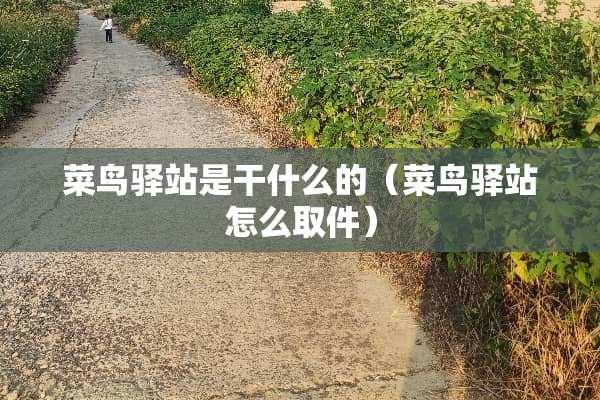 菜鸟驿站是干什么的（菜鸟驿站怎么取件）
