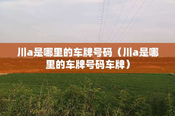 川a是哪里的***码（川a是哪里的***码车牌）