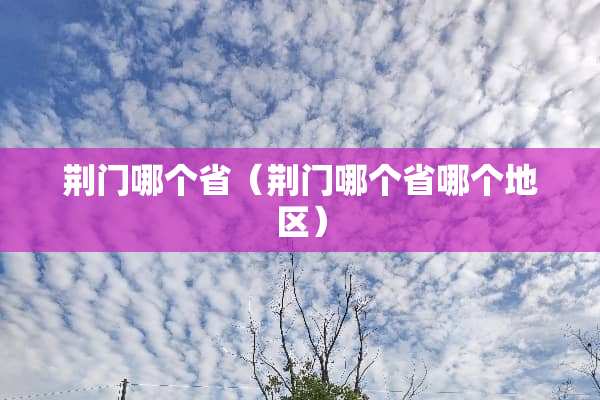 荆门哪个省（荆门哪个省哪个地区）