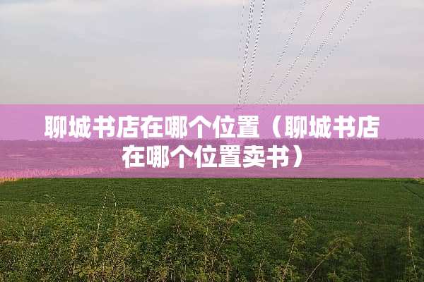 聊城书店在哪个位置（聊城书店在哪个位置卖书）
