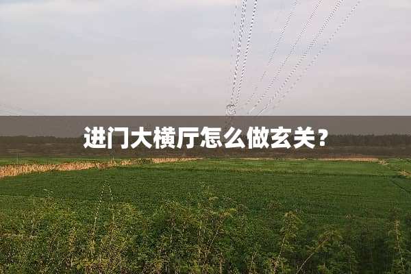 进门大横厅怎么做玄关？