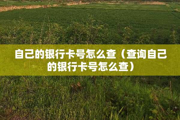 自己的***号怎么查（查询自己的***号怎么查）