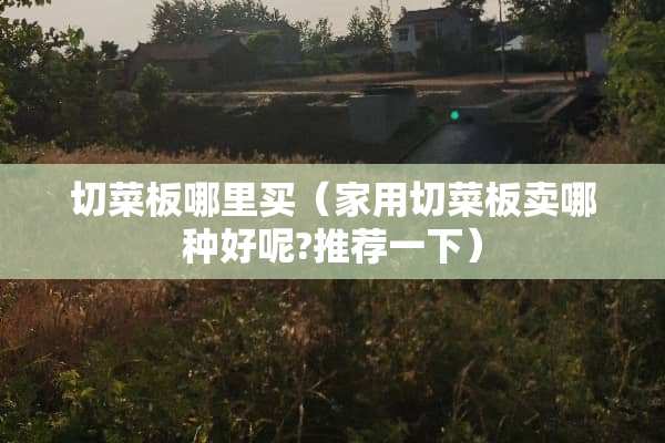 切菜板哪里买（家用切菜板卖哪种好呢?推荐一下）