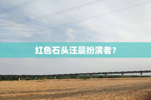 红色石头汪晨扮演者？