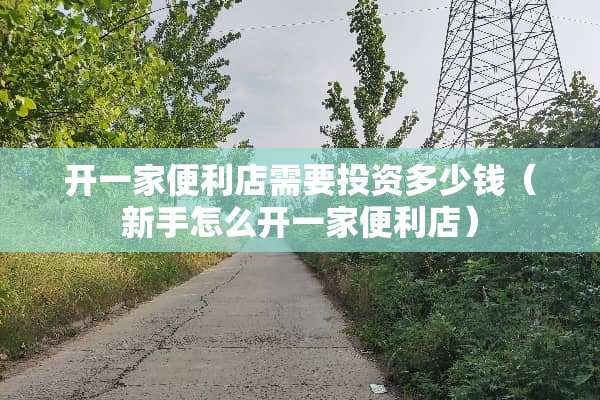 开一家便利店需要投资多少钱（新手怎么开一家便利店）