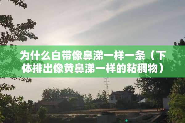 为什么白带像鼻涕一样一条（**排出像黄鼻涕一样的粘稠物）