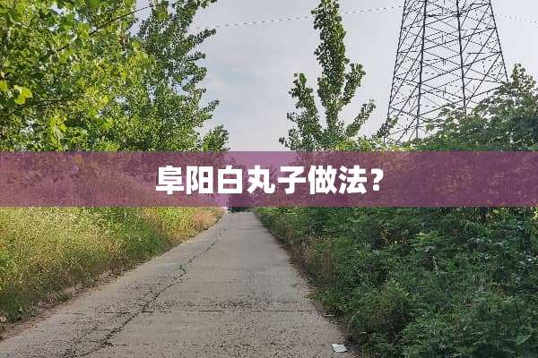 阜阳白丸子做法？