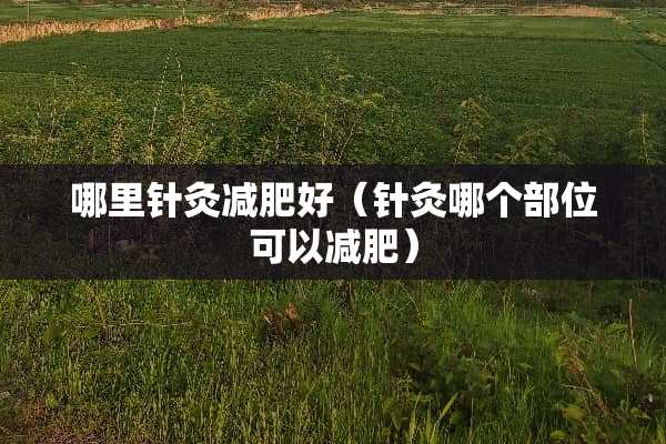 哪里针灸减肥好（针灸哪个部位可以减肥）