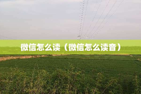 微信怎么读（微信怎么读音）