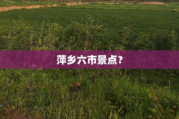 萍乡六市景点？