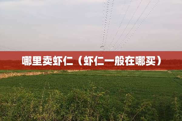 哪里卖虾仁（虾仁一般在哪买）