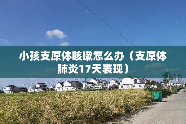 小孩支原体咳嗽怎么办（支原体肺炎17天表现）