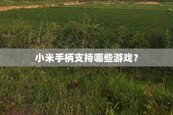 小米手柄支持哪些游戏？