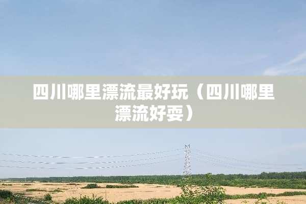 四川哪里漂流最好玩（四川哪里漂流好耍）