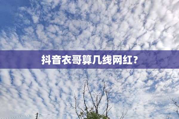 抖音衣哥算几线网红？