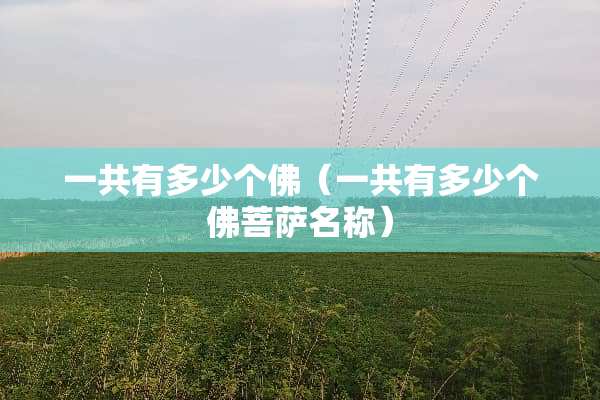 一共有多少个佛（一共有多少个佛菩萨名称）