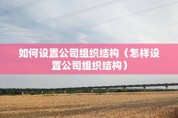 如何设置公司组织结构（怎样设置公司组织结构）