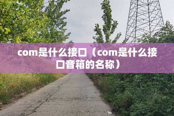 com是什么接口（com是什么接口音箱的名称）