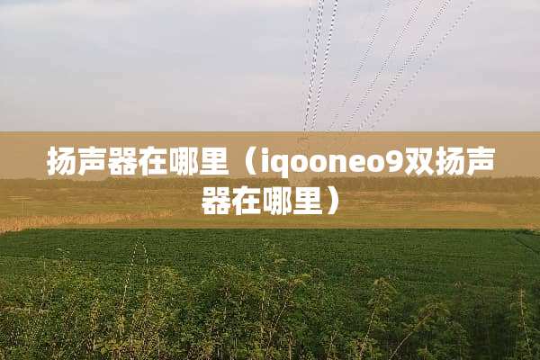 扬声器在哪里（iqooneo9双扬声器在哪里）