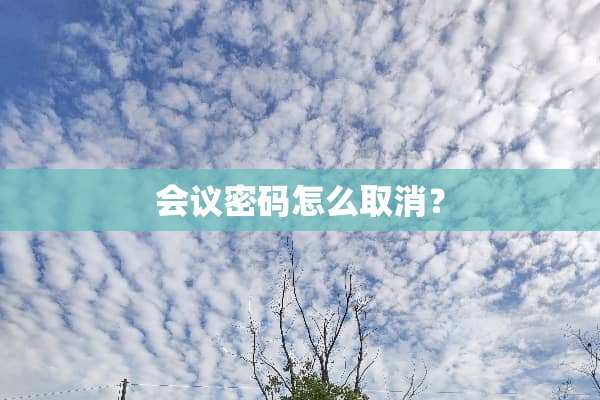 会议密码怎么取消？