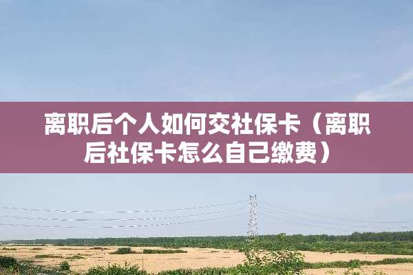 离职后个人如何交社保卡（离职后社保卡怎么自己缴费）
