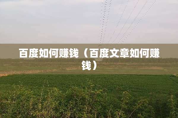 百度如何赚钱（百度文章如何赚钱）
