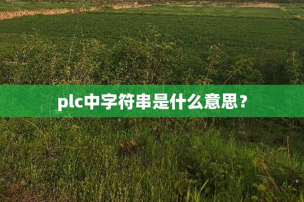plc中字符串是什么意思？