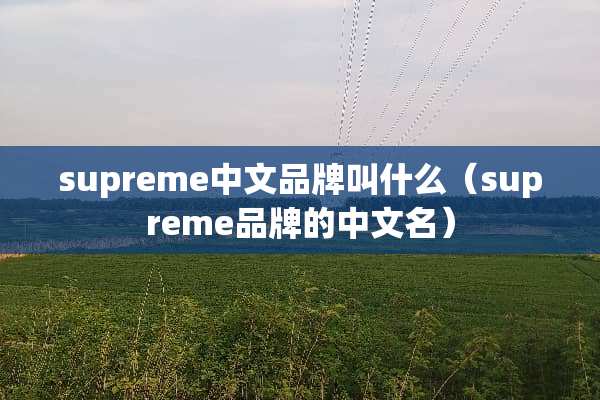 supreme中文品牌叫什么（supreme品牌的中文名）