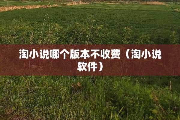 淘小说哪个版本不收费（淘小说软件）