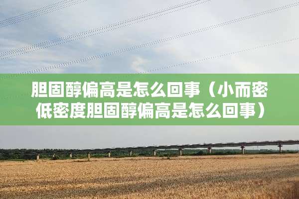 胆固醇偏高是怎么回事（小而密低密度胆固醇偏高是怎么回事）